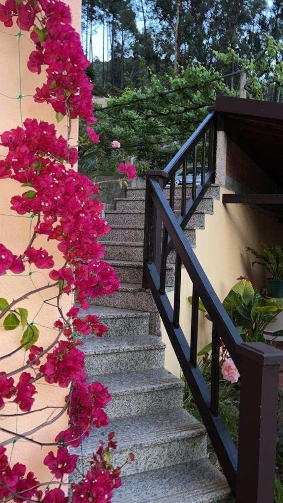 Quinta De Gestacos Villa Vườn quốc gia Peneda-Gerês Ngoại thất bức ảnh